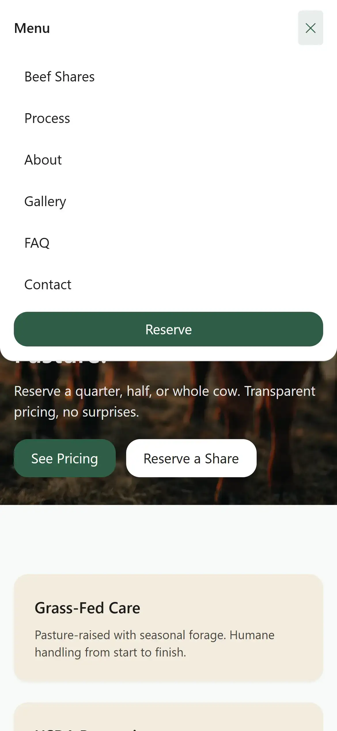 Mobile menu overlay with primary Reserve CTA